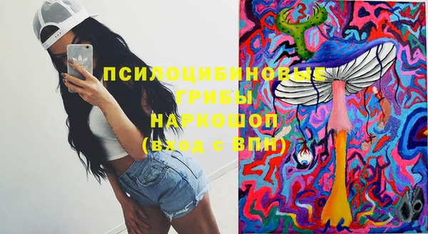 таблы Алексин