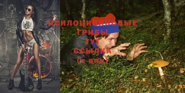 винт Алзамай