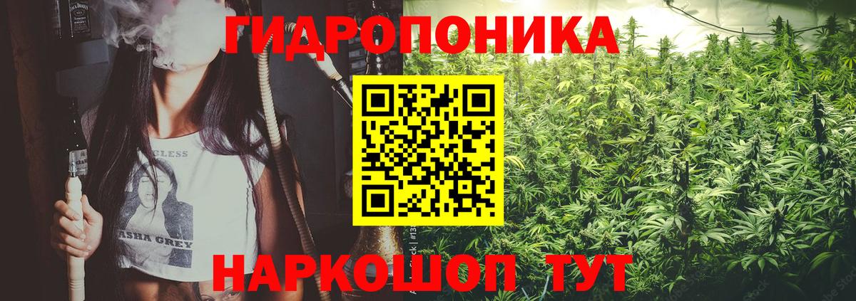 Бошки марихуана индика Пенза